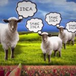 herd behaviour