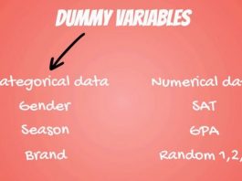 تعریف متغیر مجازی در ایویوز (Dummy Variable) تعریف متغیر مجازی در ایویوز